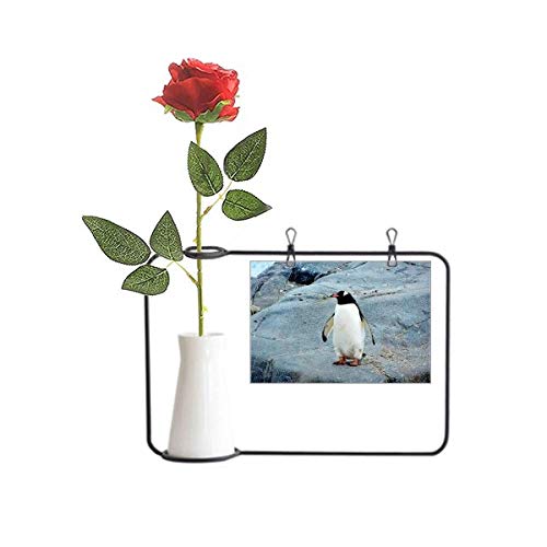 Beauty Gift Antarctic Stone Ozean-Pinguin Naturwissenschaft künstliche Rose Blume hängende Vasen Dekoration Flasche