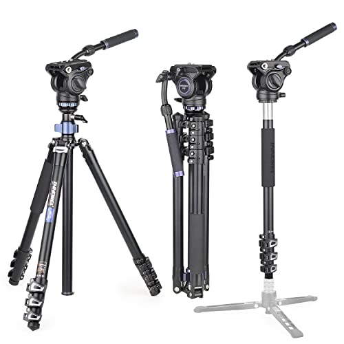 INNOREL MT70 Professionelles Videokamera-Stativ 183 cm, mit Fluid-Drag-Kopf, 4-teiliges kompaktes Aluminiumstativ, umwandelbar in Einbeinstativ für DSLR-Kamera, Video-Camcorder