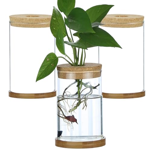 Pflanzenterrariumglas Terrariums für Pflanzen Pflanzenzubehör in Innenräumen 3PCs Transparent Deckel Plant Propagation Station mit Tabletthydroponic DIY -Ausbreitungsgläser für Home Office -Desktop,
