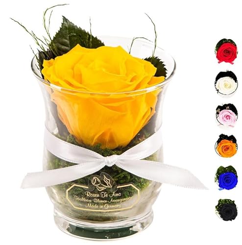Rosen-Te-Amo | Muttertag Infinity Rosen | konservierte ewige Rose gelb im Glas-Vase | duftend | handgefertigt Deko-Foliage | feines Design || Geburtstagsgeschenk Frauen Mama Freundin Oma