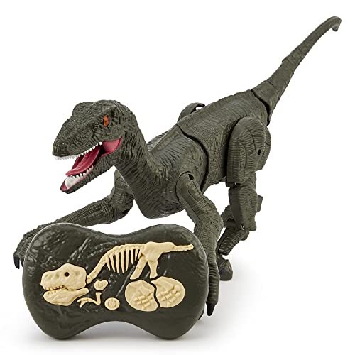 Remote Control Velociraptor Dinosaur Toys, 2.4GHz Light + Sounds Electric Walking Robot RC Dino
