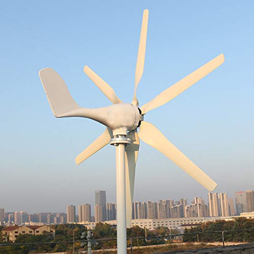 Windturbine, geräuscharm, 800 W, Windkraft, 12 V, 24 V, Windgenerator, kleine Windmühle, MPPT-Controller, Heimgebrauch, Straßenlampen, Boot (48 V, mit Controller)