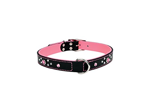 Coastal Pet Products Circle T Fashion Leather Dog Collar with Jewels, 1" x 22", Pink