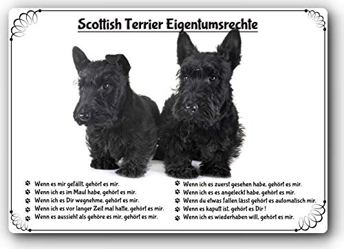 Merchandise for Fans Blechschild/Warnschild/Türschild - Aluminium - 30x40cm Eigentumsrechte Motiv: Scotch Terrier/Scottish Terrier (02)