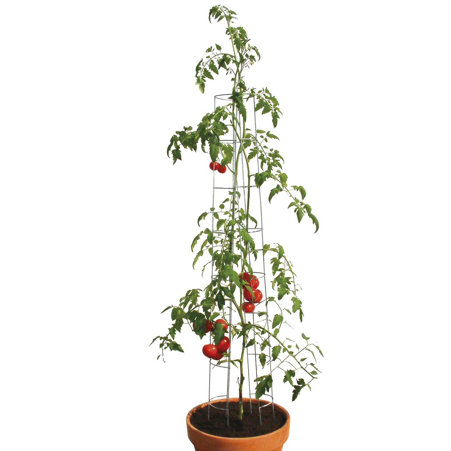 bellissa 90400 – Tomatenturm – Rankhilfe für Tomaten und Gurken – Pflanzenstab Durchmesser 13 cm, Höhe 120 cm – 9er Set