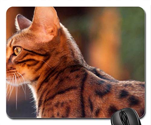 Gaming Mouse Pad die Katze Maus - Pads, Maus - Pads (Katze Maus - Pads) 004