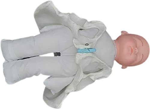 Menschliches weibliches Beckenmodell Geburt, Mini Weibliches Becken Baby Modell, Standard Geburt Simulator mit Modellen von Baby Becken - für Studie Display Lehre Medizinisches Modell