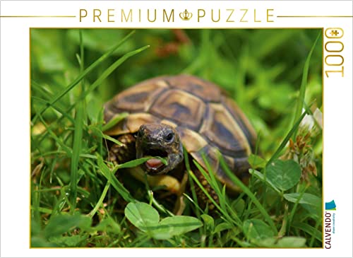 CALVENDO Puzzle Schildkröten Dinner 1000 Teile Lege-Größe 64 x 48 cm Foto-Puzzle Bild von Kattobello