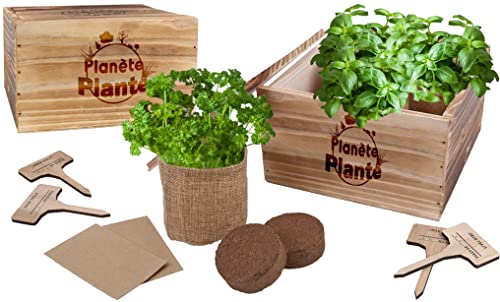 Planète Plante 170608 Planet Wooden Planter with 4 Jute Bags-4 Varieties of Plants-Gardening Kit-18 cm-for Ages 4 and Up, Multicolored