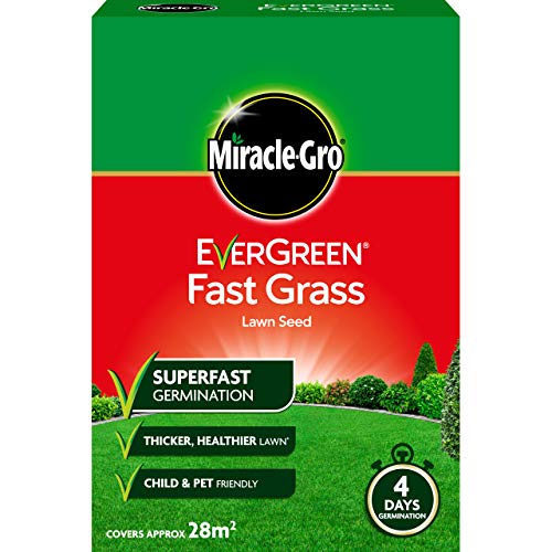 Miracle-Gro 119619 Evergreen Fast Grassamen 840 g – 28 m²