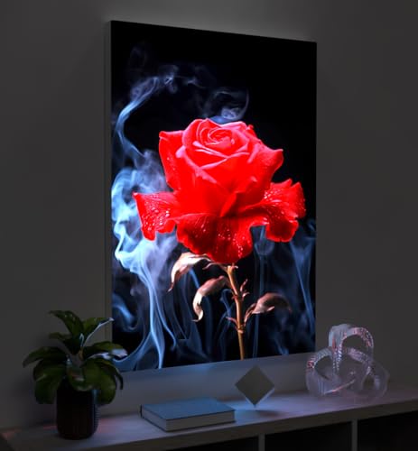 MyMaxxi - Pixlip Poster Rote Rose und Rauch Wandbild Design Wand Dekoration, Foto Mehrfarbig Leuchtrahmen - Rosenblüte, 42x60 cm, Rahmen: nur Druck