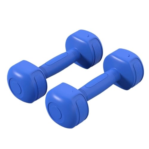 Hantel Ein Paar Hanteln, Kilogramm, Unisex-Fitnessgeräte, Haushalts-Armformungs- Und Schlankheits-Yoga-Hanteln Dumbbell (Color : Blue, Size : 3KG)