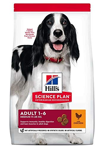 Hill's Hund Erwachsene Medium Huhn, 1er Pack (1 x 12 kg)