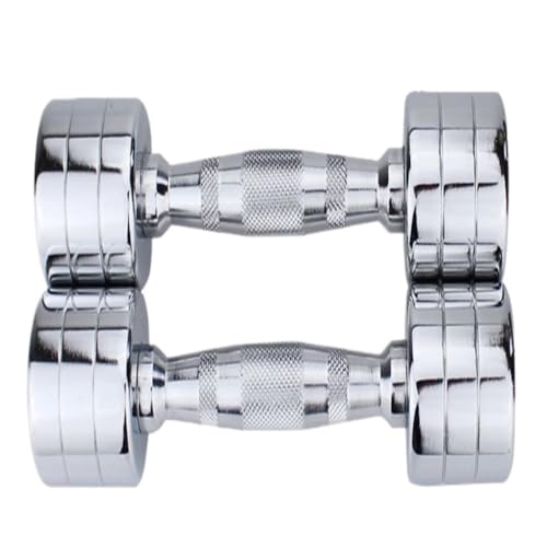 Dumbbells Hanteln, Verstellbares Gewicht, Fitness-Heimgeräte For Herren, Ein Paar Armmuskel-Trainingsgeräte For Damen Hantelset (Color : Silver, Size : 10kg)