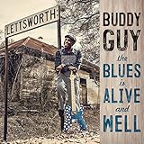 The Blues Is Alive and Well [Vinyl LP]