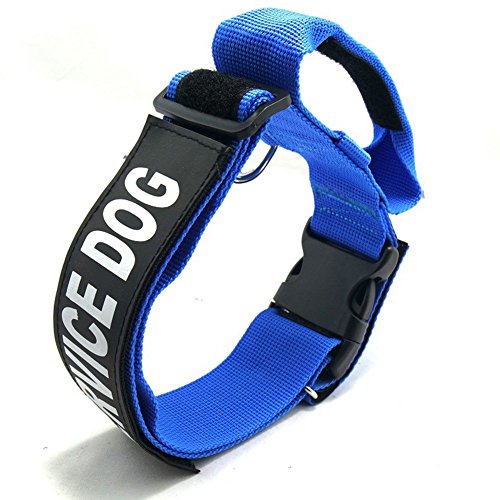 Pet Online Hundehalsband nylon verstellbare weiche, bequeme Tragen mit Griff Halsband, blau, S: 2,5*22-25 cm