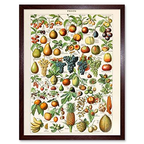 Millot Encyclopedia Page Fruit Grape Pineapple Art Print Framed Poster Wall Decor 12x16 inch Seite Obst Wand Deko