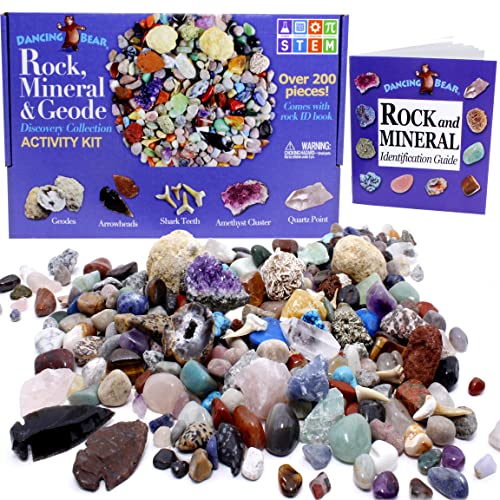 Dancing Bear's Rocks and Minerals Rock & Mineral Collection Kit mit 2 Easy Pause Geodes Activity Kit