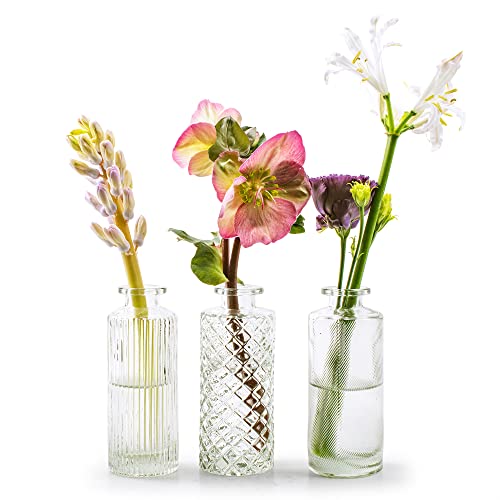 Vasen MIRA aus Glas - Glasflaschen - H 13,5 cm - Dekovasen - Glasvasen - Tischvase - Blumenvasen - Väschen Größe 12 x