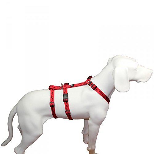 Das Original - NoExit Hundegeschirr ® - 100 % ausbruchsicher für Angsthunde, Sicherheitsgeschirr für Pflegehunde, Panikgeschirr, rot mit schwarzen Pfötchen, Bauchumfang 40-60 cm, 15 mm Bandbreite