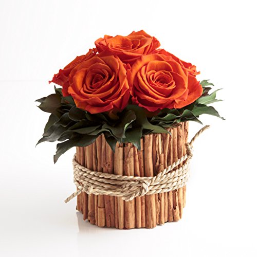 Rosengesteck 6 konservierte Rosen lang haltbar 3 Jahre/Blumengesteck/Bauernhaus/Blumen Deko/Tisch von ROSEMARIE SCHULZ® Heidelberg (Orange)