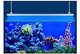 Eheim Rampe Power LED + Marineblau Keratose Beleuchtung für Aquarien 1074 mm 30,2 W