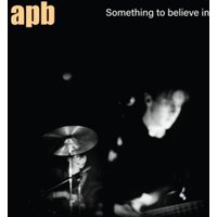 Something to Believe in [Vinyl LP]