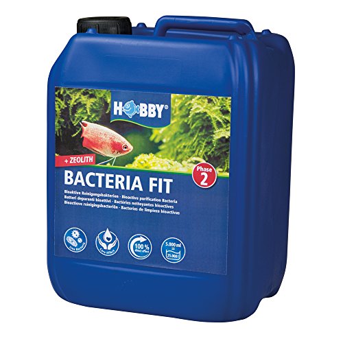 Hobby 51144 Bacteria Fit 5.000 ml