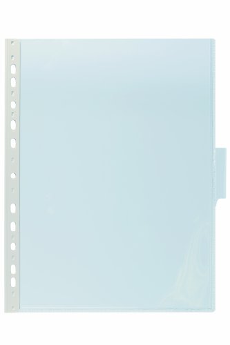 Durable 560719 Sichttafel Function Panel A4, Beutel à 5 Stück transparent