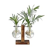 Delaspe Pflanzenvasen, Hydrokultur, Pflanzgefäße aus Glas, vertikal, mit Holzrahmen, Vintage, geeignet für die Dekoration von Büro, Garten zu Hause