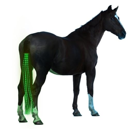 100 cm lange LED Reitschwänze Dekoration Leuchtröhren Pferde Reiten Reitsport Sattelhalter Pferdepflege (Farbe: Grün)