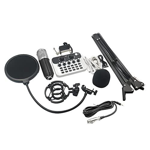 IEW Live Soundkarte Audio Interface Mixer mit Mikrofon für PC Computer Telefon Broadcast Recording Silber