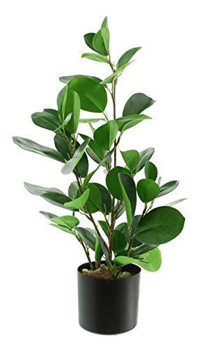 Kunstpflanze, Dekoblätter Pflanze "Green", dekorativ, täuschend echt ca. 48 cm hoch