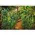 Komar Fototapete Jungle Trail 368 cm x 254 cm FSC®