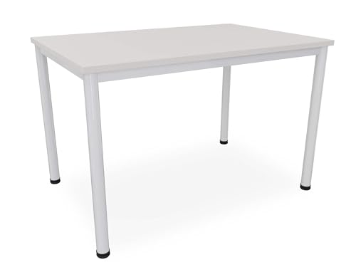 Dila GmbH Schreibtisch in verschiedenen Größen und Farben graues Metallgestell Konferenztisch Besprechungstisch (B: 120 cm x T: 80 cm, Lichtgrau)