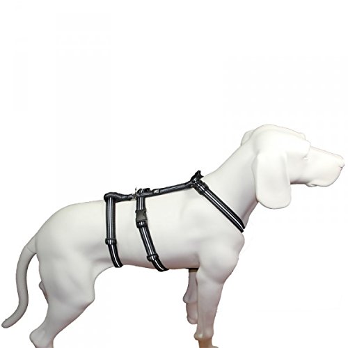 No Exit ausbruchsicheres Hundegeschirr für Angsthund, Sicherheitsgeschirr für Pflegehunde , Panikgeschirr, Reflexband schwarz, Bauchumfang 35-50 cm, 15 mm Bandbreite