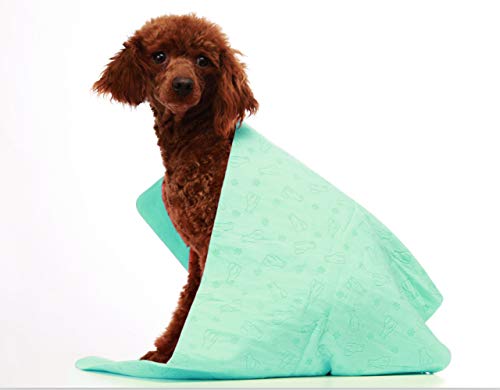 LA Hunde-Handtuch, super saugfähig, für kleine, mittelgroße, große Hunde und Katzen, Bär-bedrucktes Wildleder-Handtuch, entworfen für den Innen- und Außenbereich, grün