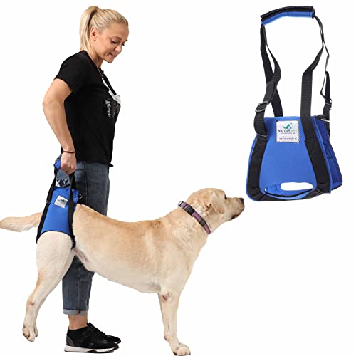 NATURE PET Hunde Tragehilfe XL schwarz/Hunde Gehhilfe/Hunde Rehahilfe, das Hilfsgeschirr für Probleme an der Wirbelsäule, der Hüfte und den Knien ihres Hundes.