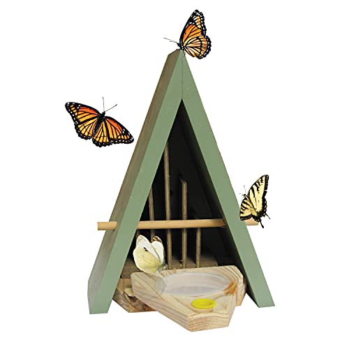 Wildlife World Schmetterlingshaus und Futterstation – natürlicher Lebensraum, um Schmetterlinge in Ihren Garten zu Locken, Blau