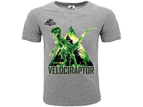 Jurassic World Original Velociraptor T-Shirt, offizielles Produkt, Grau 9-11 Jahre