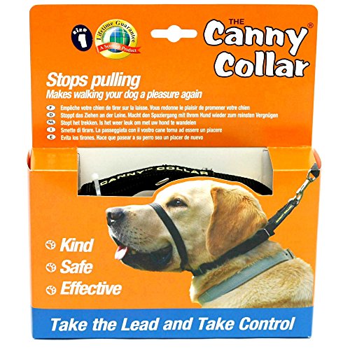Canny Dog Collar Black Größe 7