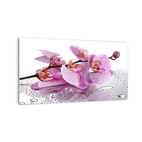 DekoGlas Küchenrückwand 'Violette Blüte nass' in div. Größen, Glas-Rückwand, Wandpaneele, Spritzschutz & Fliesenspiegel