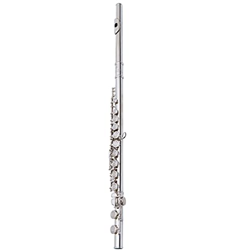 LCJQ Flöte C Stimme 16 17 Tasten geschlossenes Loch Flöte Instrument weiß versilbert Anfänger Erwachsene Kinder Grading Performance C Flöte Musikinstrument (Größe : 17 Löcher)