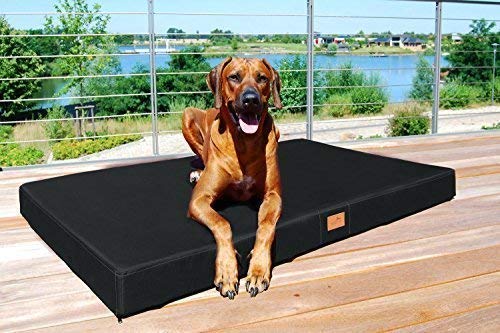 tierlando Mobile Hundematratze Hugo Basic | Gehobene Stabilität & Qualität! | Anti-Haar Polyester | | XXL 150 x 100 x 13 cm | Schwarz