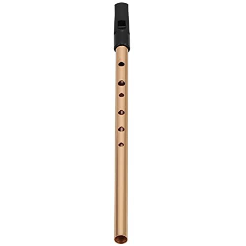 Irish Whistle, 30,5 cm D Key Metall Harz Tin Whistles Instrument zum Spielen