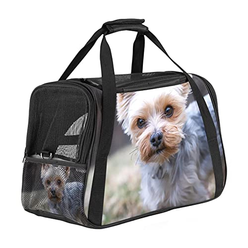 Süßer Tierhund Weiche Reisetasche für Hunde und Katzen Von der Fluggesellschaft zugelassen extrem atmungsaktiv 43x26x30 cm