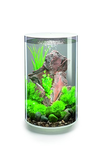 OASE biOrb TUBE 30 LED Aquarium, 30 Liter - Aquarien Komplett-Set mit LED Beleuchtung und patentiertem Filter-System, Acryl-Becken in Weiß