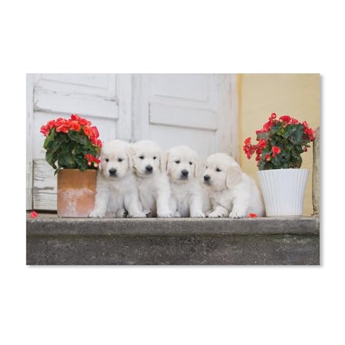 Vier Hunde, Begonienblüten，Puzzles 1000 Stück Puzzles Für Erwachsene Kinder Klassisches Familienpuzzle Indoor DIY Spielzeug Geburtstagsgeschenk（50x70cm）-A145