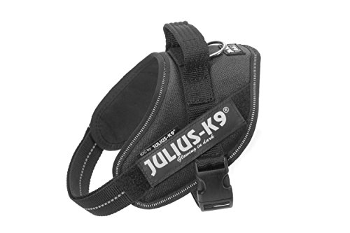Julius-K9 IDC Powerharness für Hunde mit zwei kostenlosen Patches, Schwarz Mini-Mini