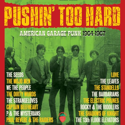 Pushin Too Hard-American Garage Punk 1964-1967